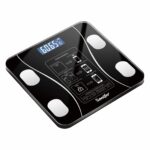 Skaitmeninės grūdinto stiklo svarstyklės Sonifer SF-1913 su LCD ekranu